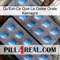 What Is Kamagra Oral Jelly viagra4